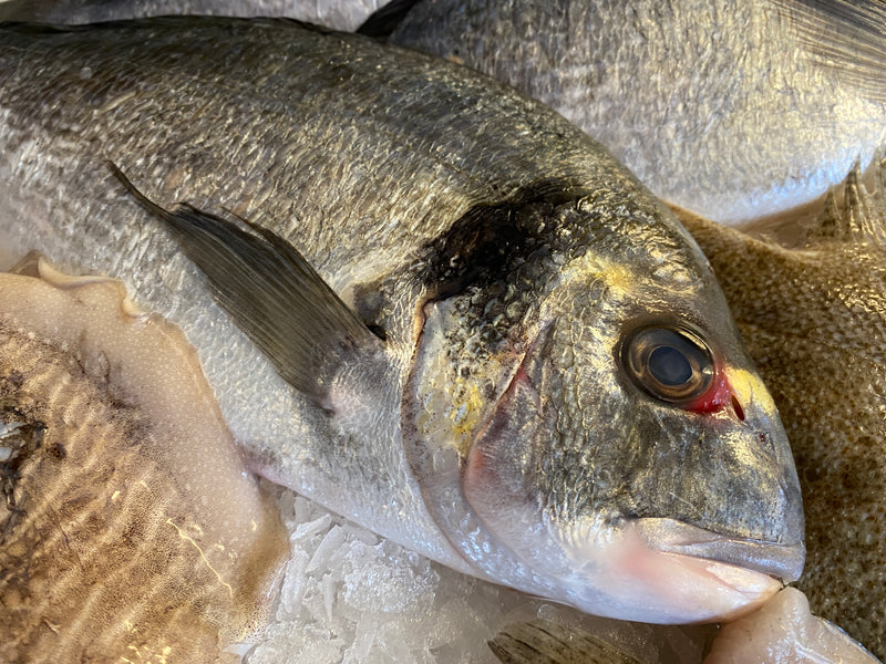 Sea Bre Everything You Need to Know About … Sea Bream | CA Seafoods