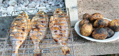 Tips For Barbecuing Fish