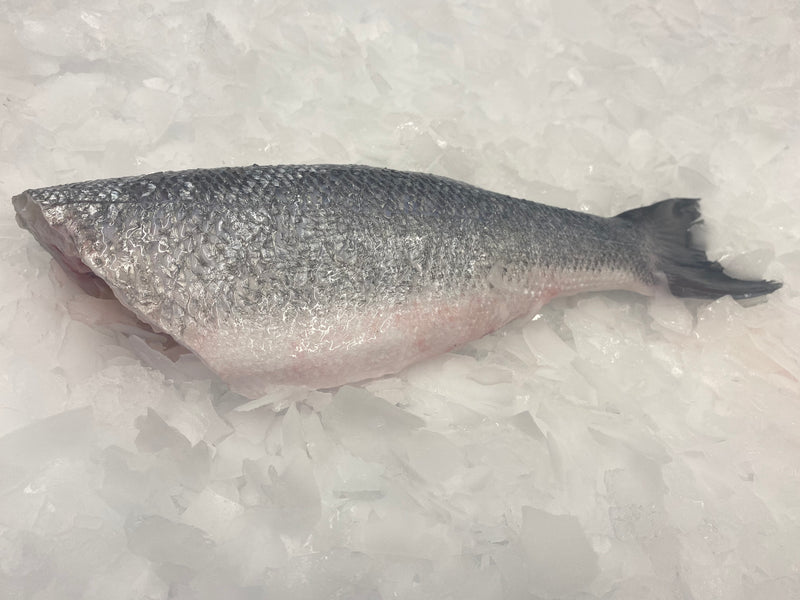 Seabass (Farmed)