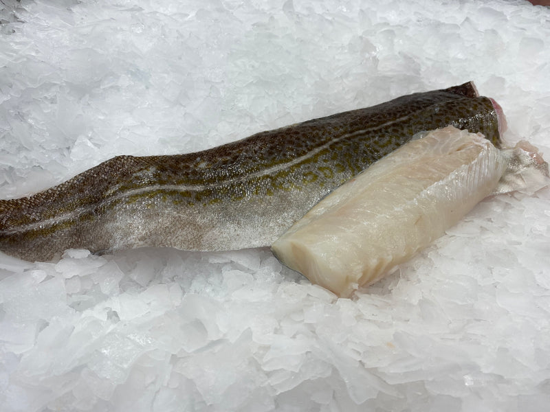 Cod Loin