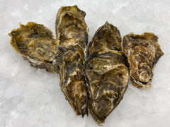 Brancaster Oysters (6)